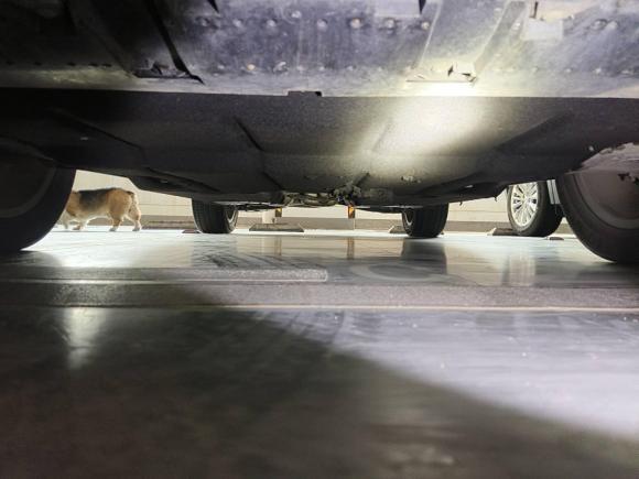 [武汉·鄂A] 二手奥迪奥迪Q32016款 30 TFSI 风尚型