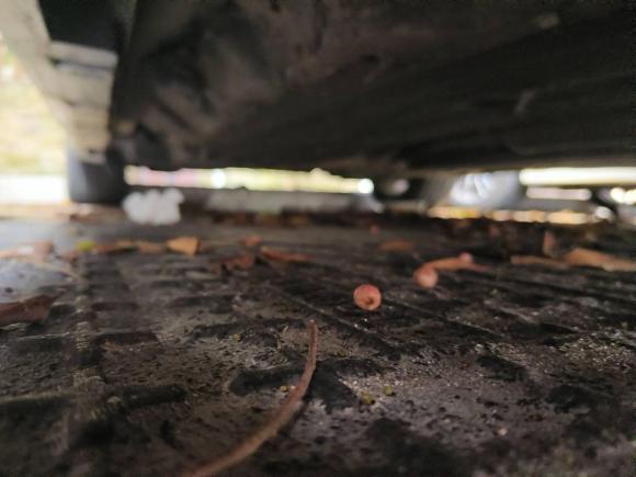 [深圳·粤L] 二手福特蒙迪欧2013款 2.0L GTDi240豪华运动型