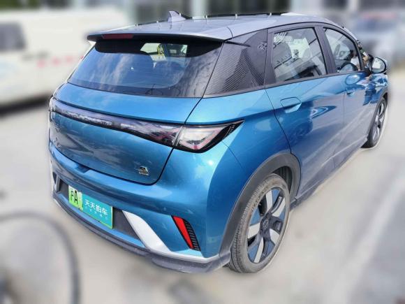 [上海·沪A] 二手比亚迪海豚2021款 401km 骑士版