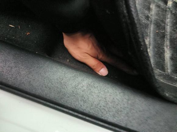 [嘉兴·浙F] 二手日产轩逸2016款 1.6XL  CVT尊享版