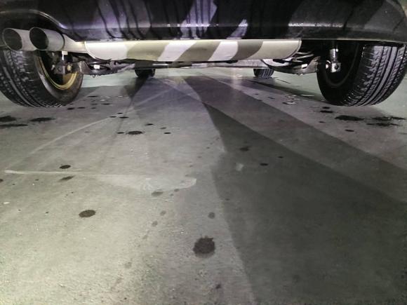 [上海·沪C] 二手大众高尔夫2015款 1.4TSI 自动舒适型