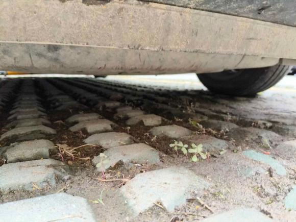 [宁波·浙B] 二手本田飞度2014款 1.5L LX CVT舒适型