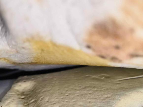 [南京·苏A] 二手福特福克斯2017款 两厢 1.6L 自动风尚型智行版