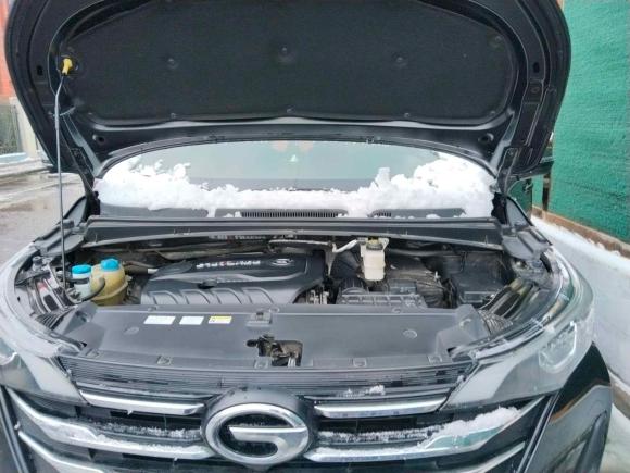 [南京·苏G] 二手广汽传祺传祺M62019款 270T DCT豪华版（七座）国VI