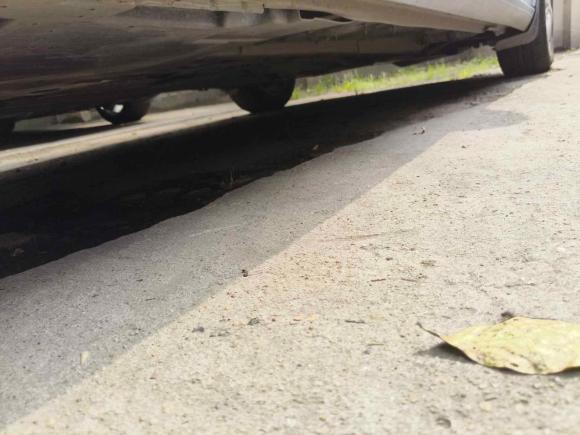 [上海·沪B] 二手雪铁龙C4 PICASSO2015款 Grand 1.6T 时尚型 7座