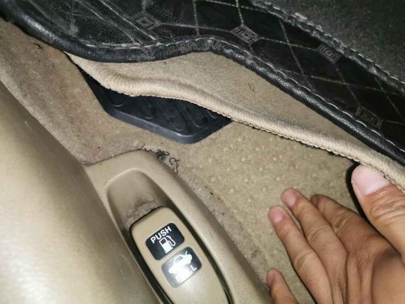 [无锡·川E] 二手本田雅阁2008款 2.0L MT