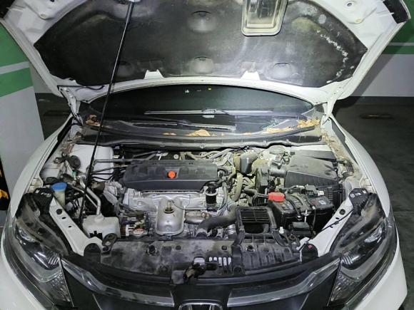 [武汉·鄂A] 二手本田杰德2020款 1.8L 自动舒适版