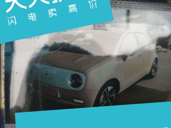 [苏州·苏E] 二手欧拉欧拉黑猫2022款 351km 舒享型 三元锂