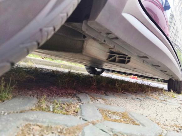 [上海·沪A] 二手欧拉欧拉好猫2021款 500km长续航 波塞冬版 三元锂