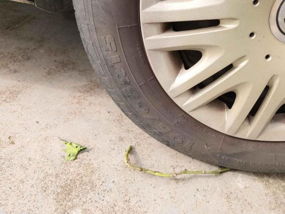 [上海·沪C] 二手大众朗逸2008款 1.6L 自动品悠版