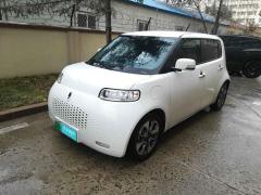 [青岛·鲁B] 欧拉欧拉白猫2020款305km豪华型