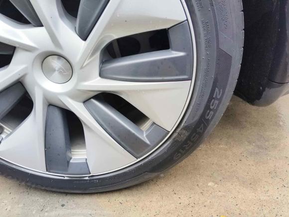 [合肥·皖A] 二手特斯拉Model Y2021款 标准续航后驱版