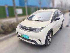 [济南·鲁A] 比亚迪海豚2023款 420km 自由版