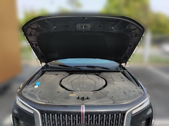 [合肥·皖A] 二手红旗红旗H92020款 2.0T 智联旗享版