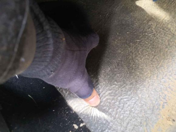 [合肥·皖A] 二手奇瑞瑞虎52016款 1.5T 手动卓越信赖版