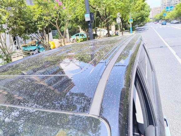 [杭州·浙A] 二手广汽传祺传祺M82024款 大师系列 400T 尊贵版