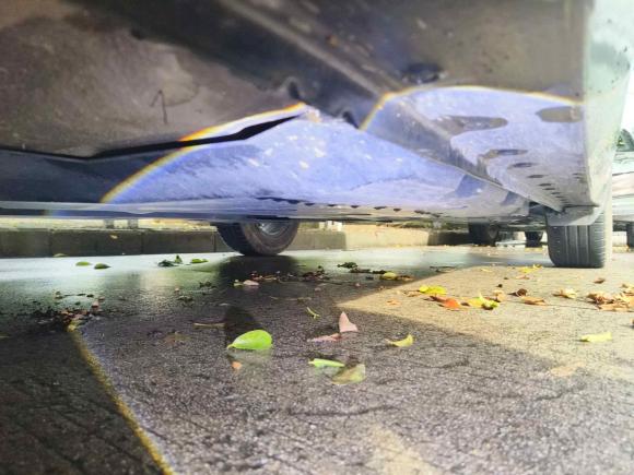 [深圳·粤S] 二手日产轩逸2022款 1.6L XL CVT悦享版