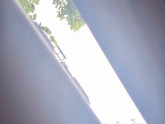 [杭州·浙A] 二手广汽传祺传祺M62023款 PRO 270T DCT豪华版