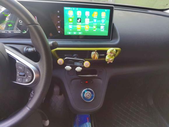 [杭州·浙A] 二手欧拉欧拉白猫2020款 305km 豪华型