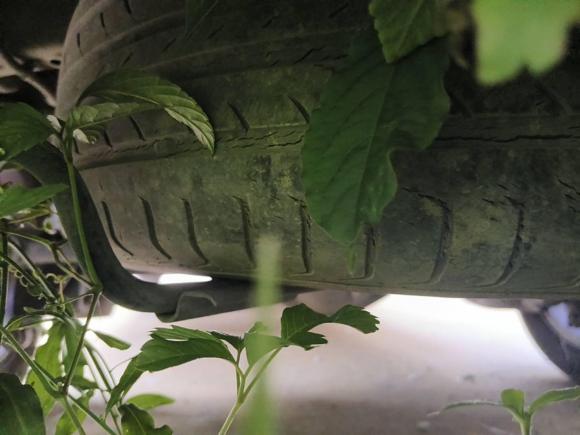 [合肥·皖A] 二手五菱汽车五菱征程经典2015款 1.8L豪华型LJ479QE2