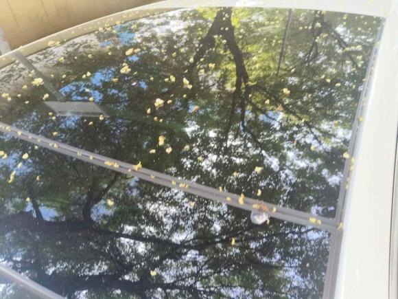 [西安·陕U] 二手奥迪奥迪A32021款 Sportback 35 TFSI 豪华运动型