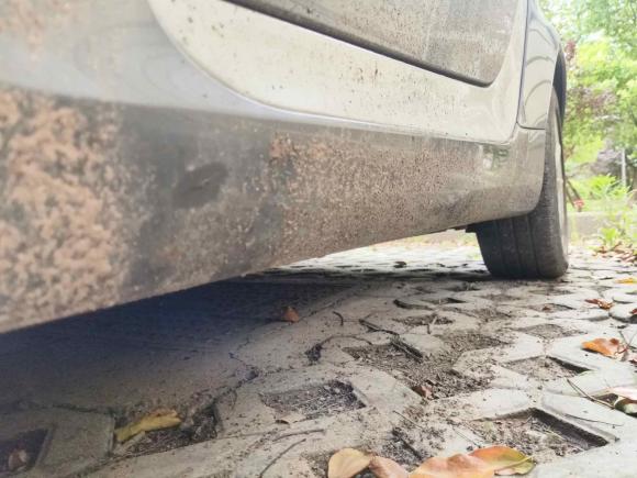 [上海·沪A] 二手smartsmart fortwo2011款 1.0T 硬顶激情版