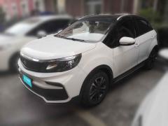 [杭州·浙A] 睿蓝汽车枫叶30X2020款风尚版