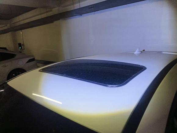 [上海·沪A] 二手福特福克斯2018款 两厢经典 EcoBoost 180 自动运动型