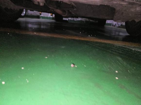 [温州·浙F] 二手别克别克GL82020款 ES陆尊 653T 尊享型