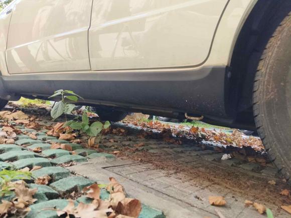 [南京·苏A] 二手铃木天语 尚悦2011款 1.6L 自动舒适型