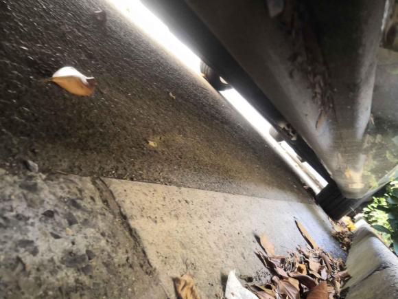 [上海·苏D] 二手奔驰奔驰E级2016款 E 200 L