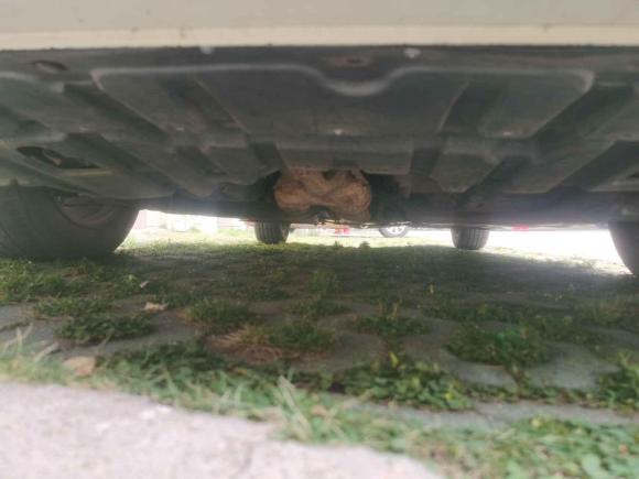 [武汉·鄂A] 二手日产天籁2011款 2.5L XL领先版