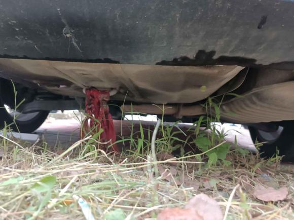 [苏州·苏E] 二手起亚起亚K42015款 1.8L 自动GLS Special