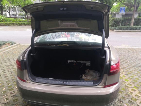 [上海·沪C] 二手大众帕萨特2019款 330TSI 精英版 国VI