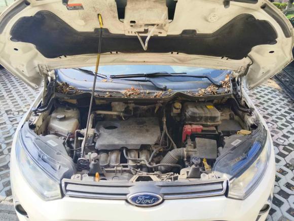 [无锡·苏B] 二手福特翼搏2013款 1.5L 自动尊贵型