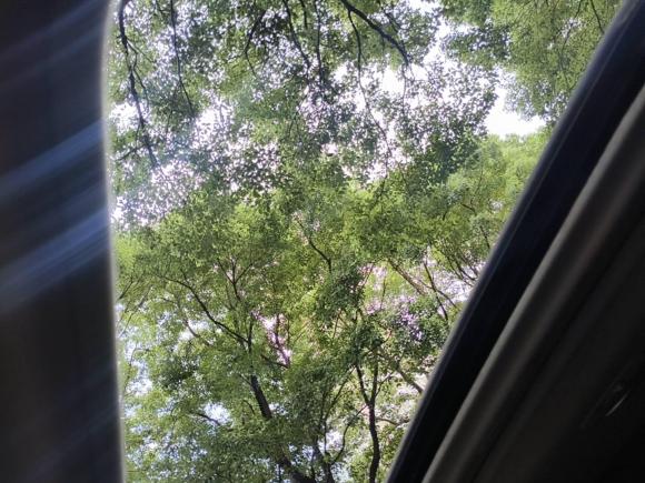 [杭州·浙A] 二手斯巴鲁斯巴鲁XV2021款 2.0i 全驱豪华版EyeSight