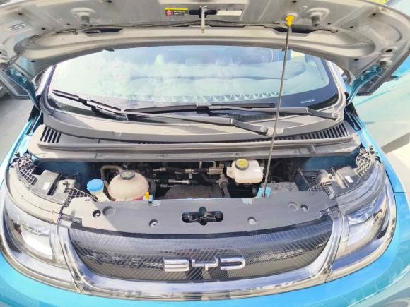 [上海·沪A] 二手比亚迪海豚2021款 401km 骑士版