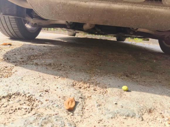 [无锡·苏B] 二手沃尔沃沃尔沃S902020款 T5 智逸豪华版