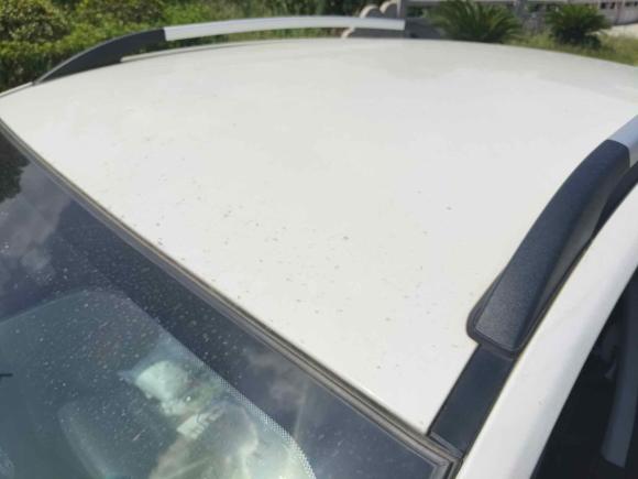 [常州·苏D] 二手北汽新能源北汽新能源EC52019款 新尚版