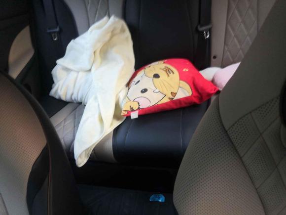 [常州·苏D] 二手比亚迪海豚2021款 405km 自由版