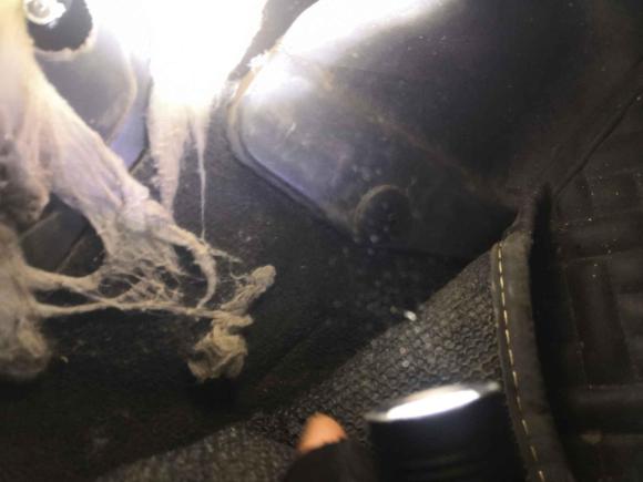 [合肥·皖A] 二手奥迪奥迪Q32013款 35 TFSI quattro 舒适型