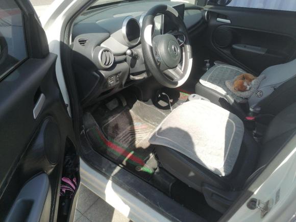 [济南·鲁A] 二手欧拉欧拉黑猫2021款 351km 标准型