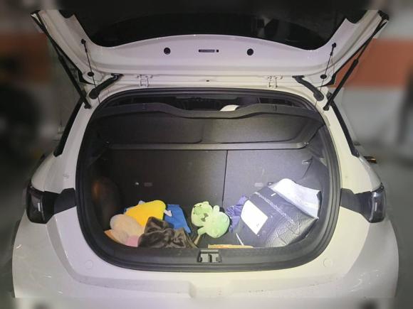 [合肥·皖A] 二手比亚迪海豚2023款 420km 时尚版