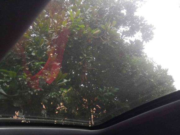 [杭州·浙A] 二手长安长安UNI-V2022款 1.5T 尊贵型