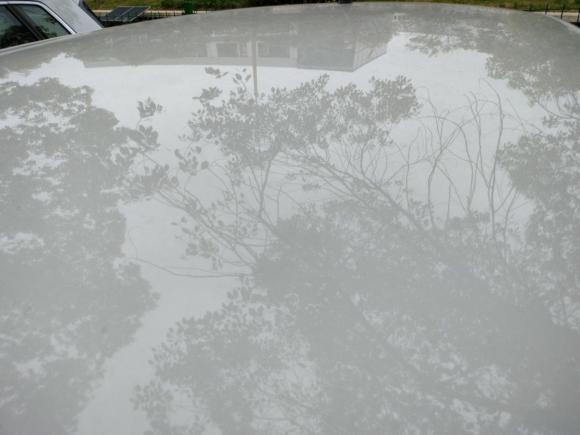 [上海·苏E] 二手斯柯达晶锐2016款 1.4L 自动车享版