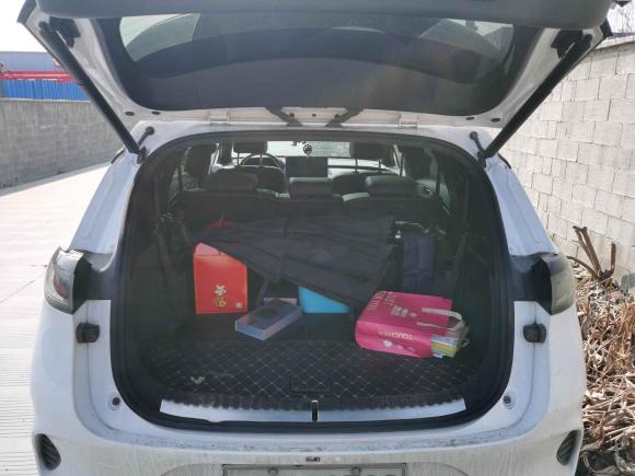 [上海·沪A] 二手腾势腾势X2020款 PHEV运动版