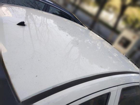 [嘉兴·浙F] 二手本田哥瑞2016款 1.5L CVT经典版