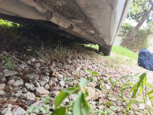 [上海·沪F] 二手本田雅阁2011款 2.4L LX