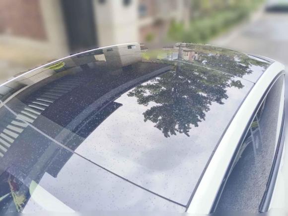 [苏州·沪A] 二手特斯拉Model 32021款 Performance高性能全轮驱动版