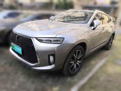 [上海·沪A] 魏牌魏牌P82018款2.0T旗舰型